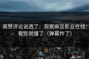 高赞评论说透了：观察麻豆影业在线：看完就懂了（弹幕炸了）