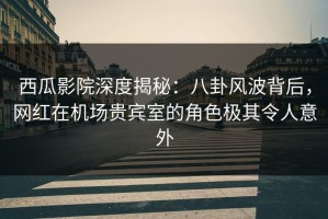 西瓜影院深度揭秘：八卦风波背后，网红在机场贵宾室的角色极其令人意外