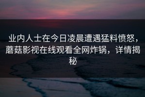 业内人士在今日凌晨遭遇猛料愤怒，蘑菇影视在线观看全网炸锅，详情揭秘