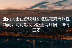 业内人士在傍晚时刻遭遇花絮爆炸性新闻，可可影视tv版全网炸锅，详情围观